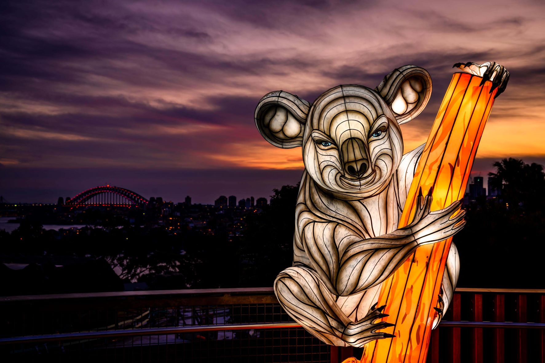 vivid taronga zoo