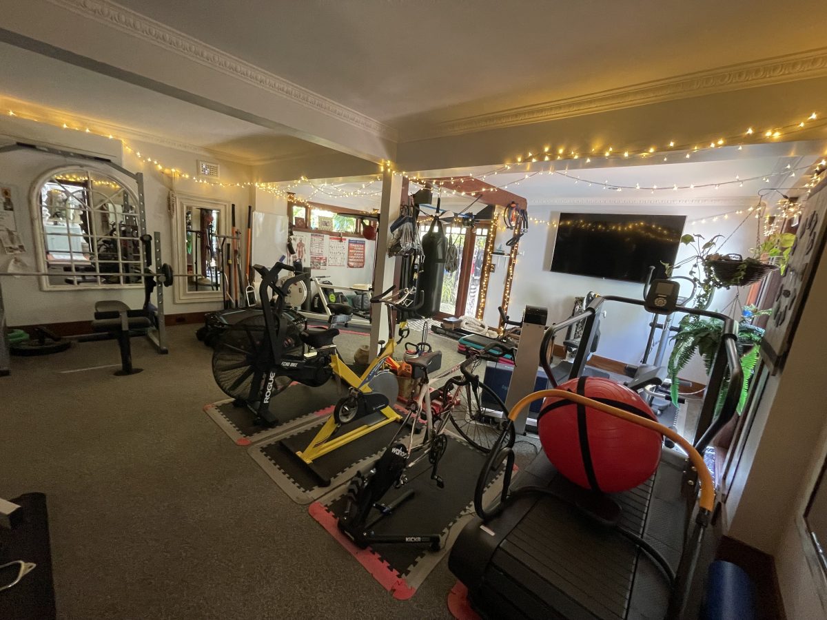 Jumping Rufus Personal Training | ExerciseGym in Mosman - Mosman Living