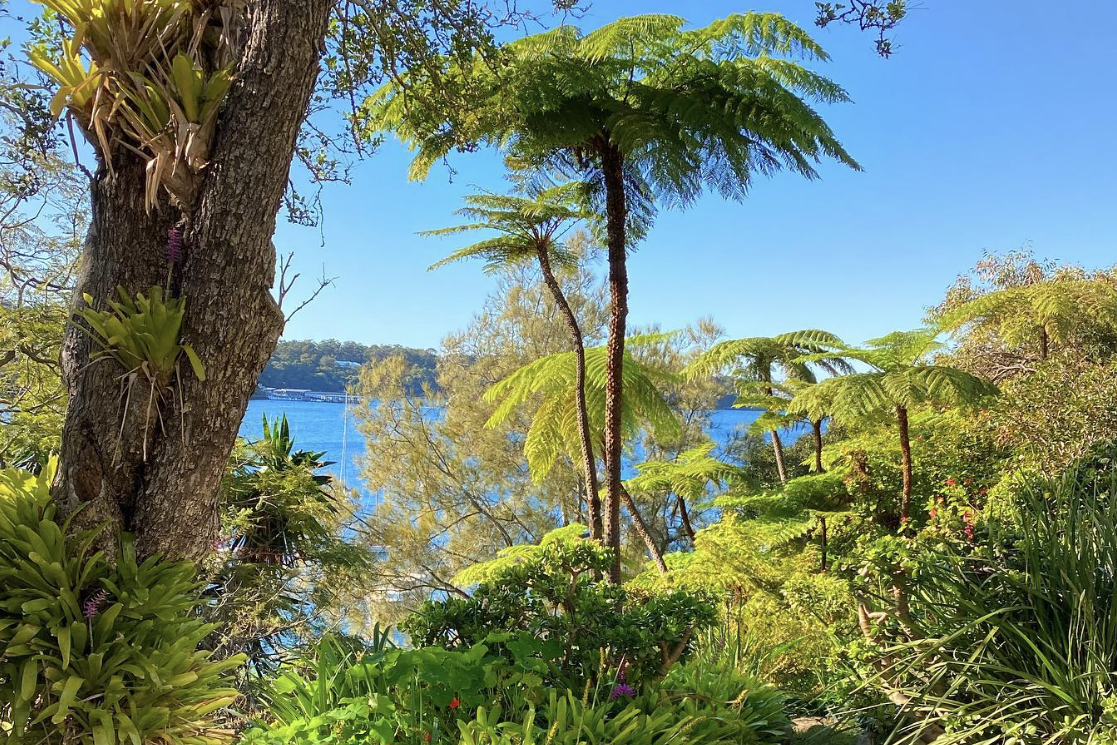 Lex and Ruby Graham Gardens at Cremorne Point