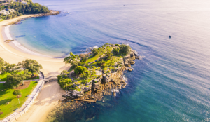 Aerial view of Balmoral Beach where a new shark listening station is operating nearby